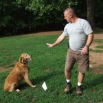 Pet Stop Dog Fencing Experts