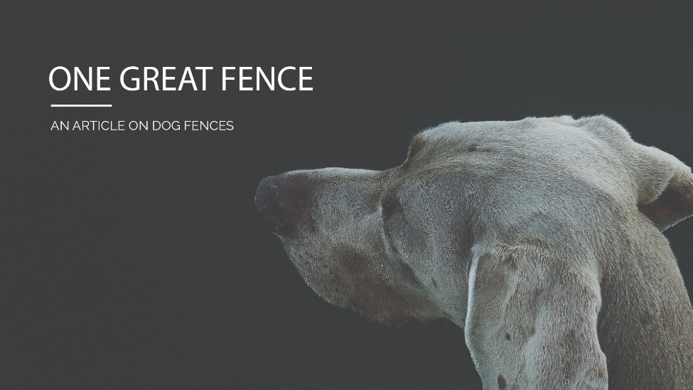 One Great Fence