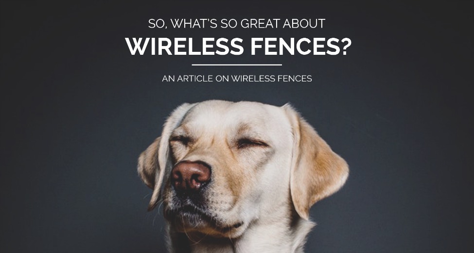 Info on Wireless Fences