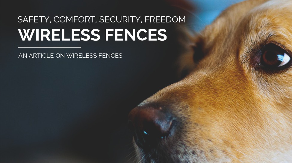 Wireless Fence