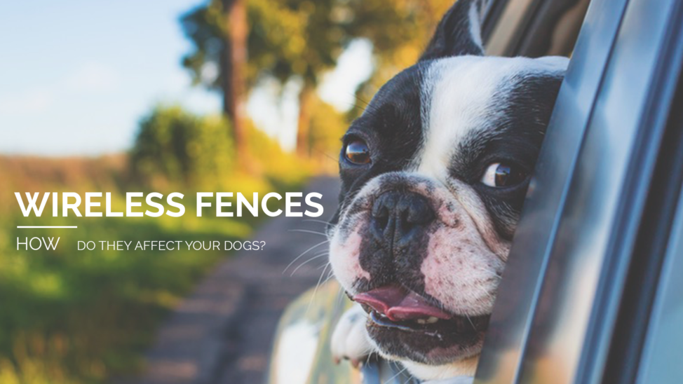 Wireless fences