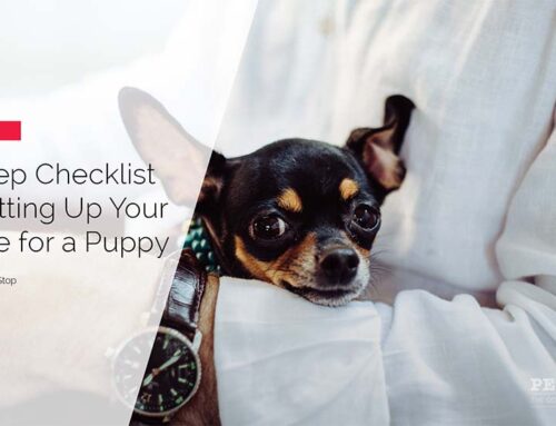 10 Steps to Ensure Your Home is Puppy Ready