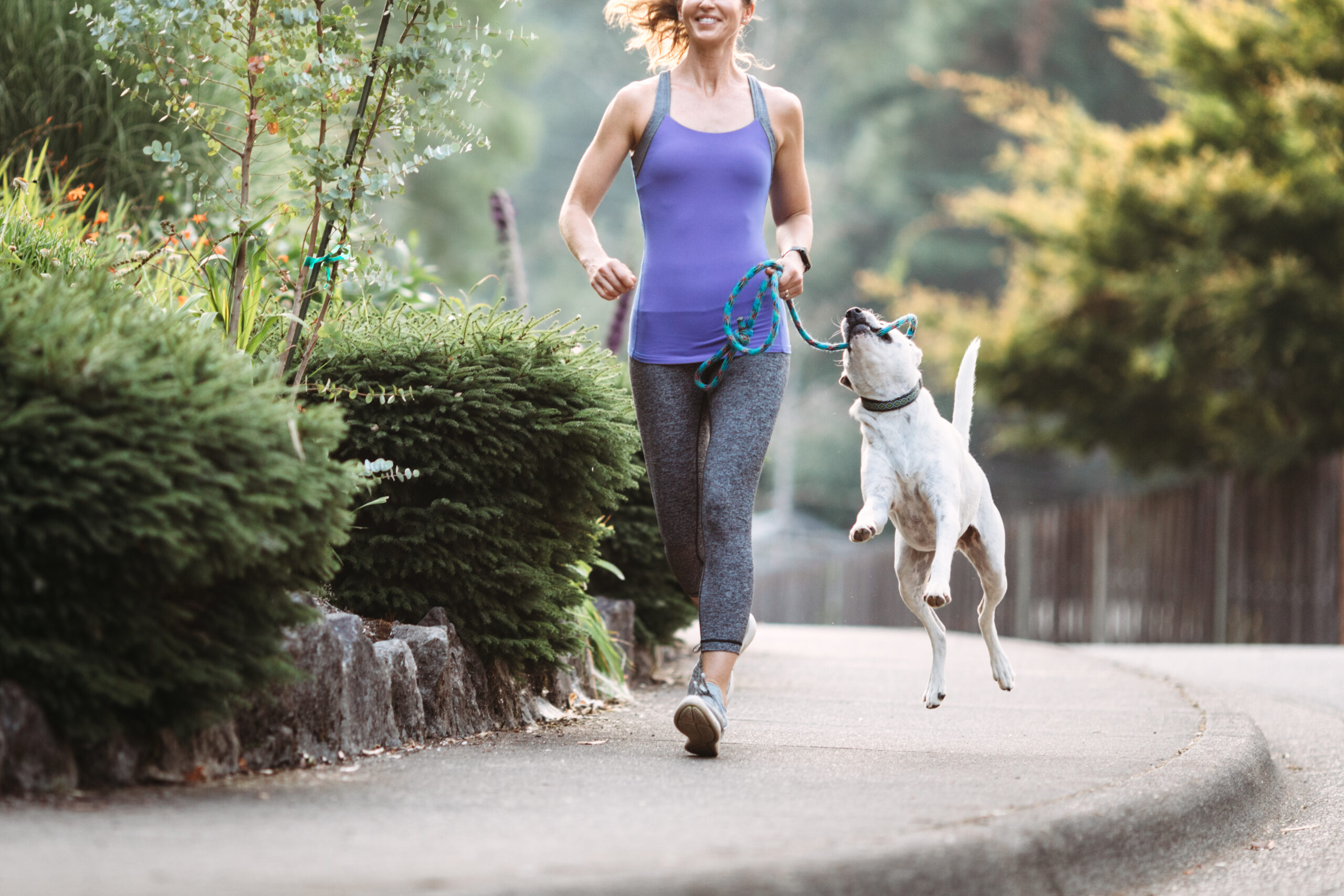 How much exercise does your dog need?