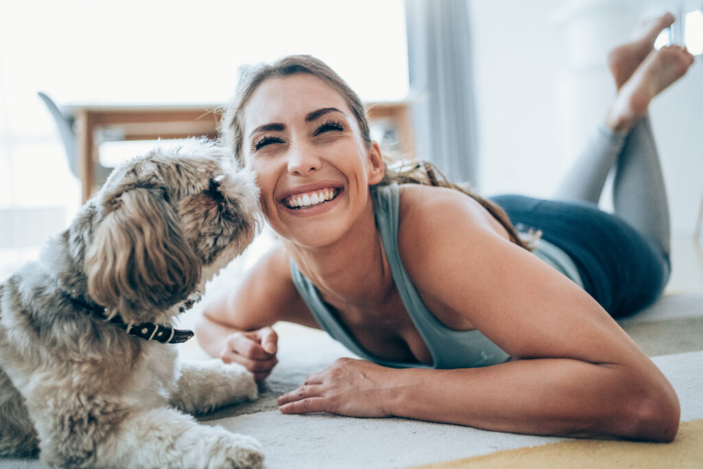 training a dog to touch you with their nose