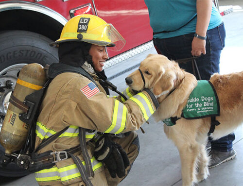 Heroic Dogs: True Tails of Bravery