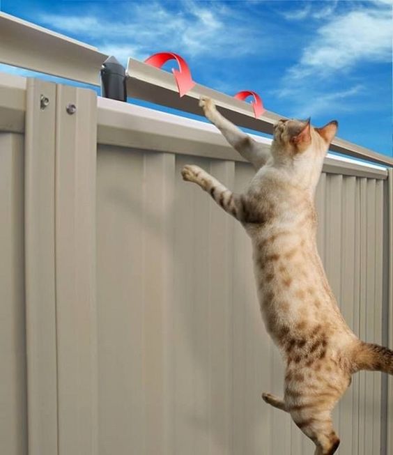 Cat Fence Roller