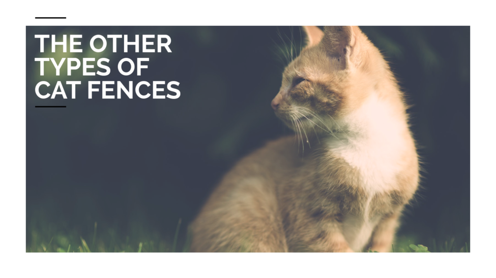 Other Types of Cat Fences
