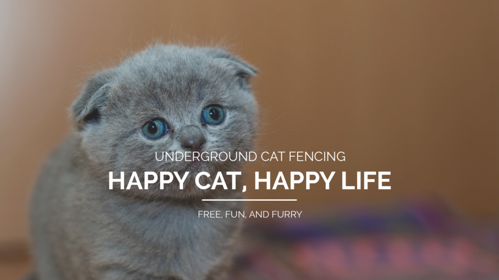 Underground Cat Fencing