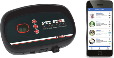 Wireless Dog Fence
