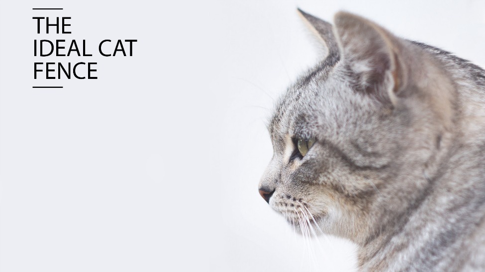 The Ideal Cat Fence