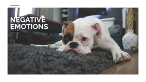 Negative Emotions